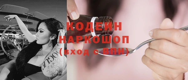 стаф Корсаков