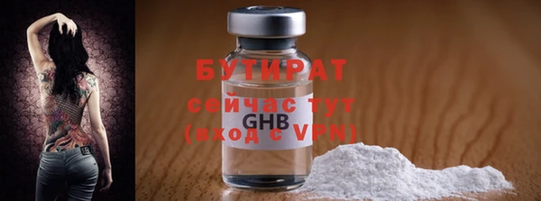 сатива Ельня