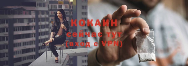 стаф Корсаков