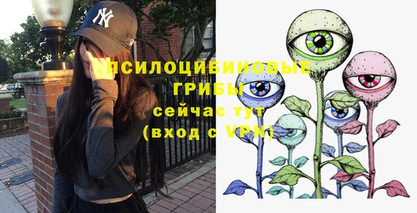 прущая мука Костерёво