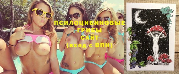 стаф Корсаков