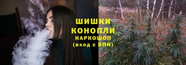 стаф Корсаков