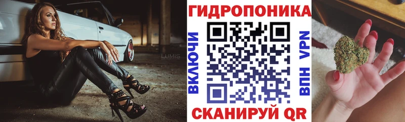 где найти Навашино Конопля семена